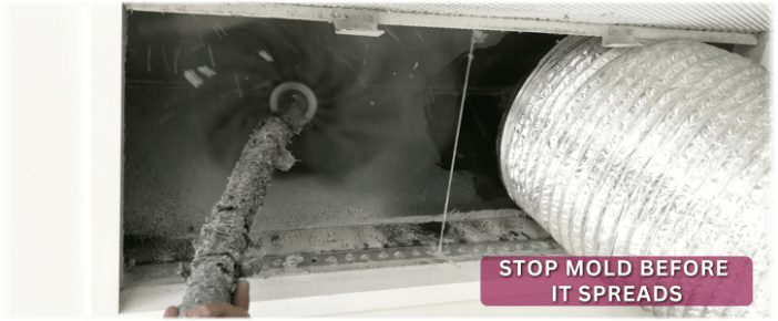 Air Duct Mold Removal in Sugar Grove IL