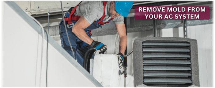 HVAC Mold Removal Sugar Grove IL